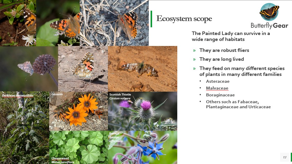 Ecology slide 15
